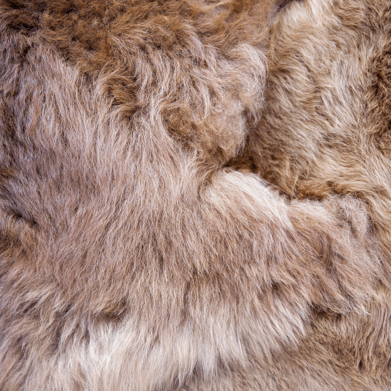 Alpaca Fibre