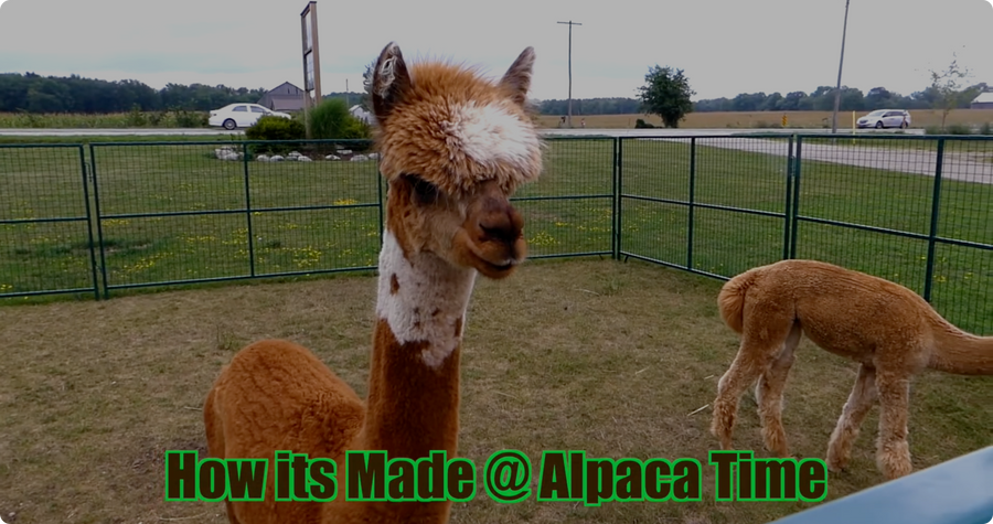 Alpaca Time Farm